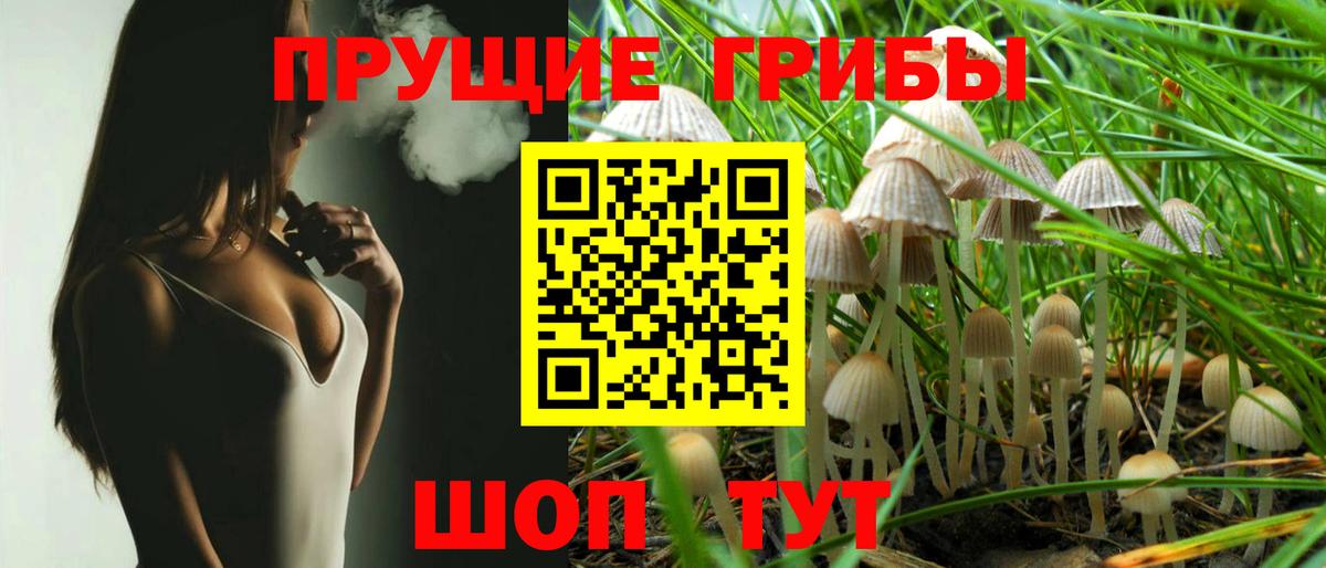 где продают   Псилоцибиновые грибы мухоморы  Вход с VPN  Электрогорск 